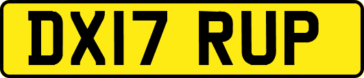 DX17RUP