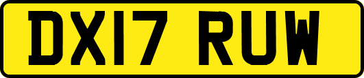 DX17RUW