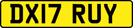 DX17RUY