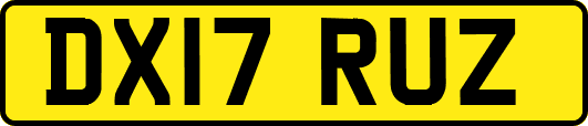 DX17RUZ