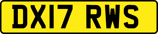 DX17RWS