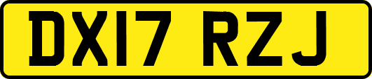 DX17RZJ