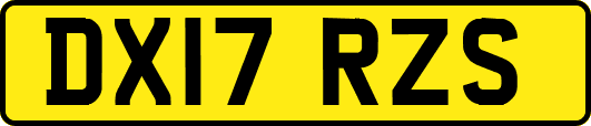 DX17RZS