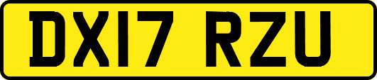 DX17RZU