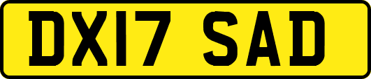 DX17SAD