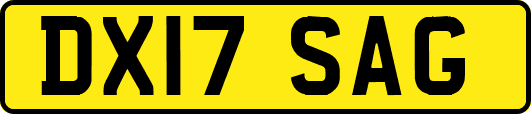 DX17SAG