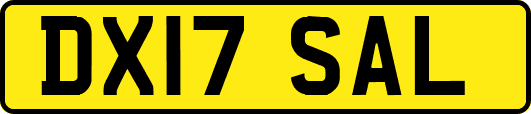 DX17SAL