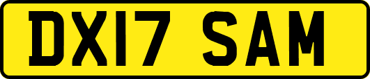 DX17SAM