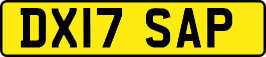 DX17SAP