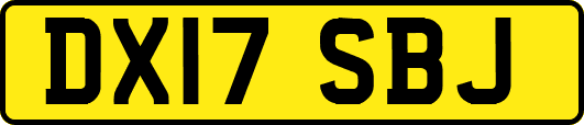 DX17SBJ