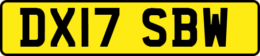 DX17SBW