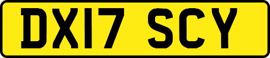 DX17SCY