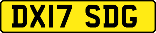 DX17SDG