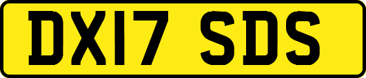 DX17SDS