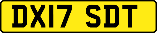 DX17SDT