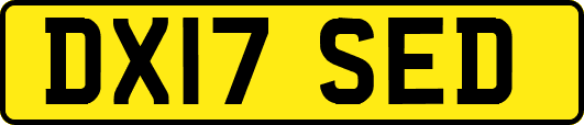 DX17SED