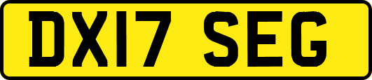 DX17SEG