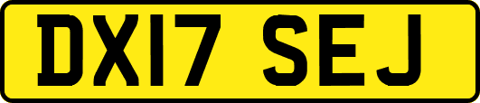 DX17SEJ