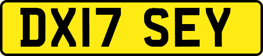 DX17SEY