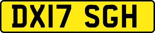 DX17SGH