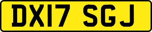 DX17SGJ