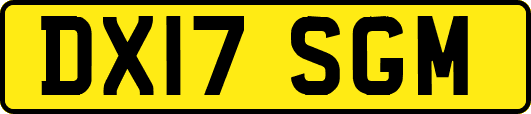 DX17SGM