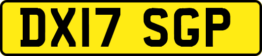 DX17SGP