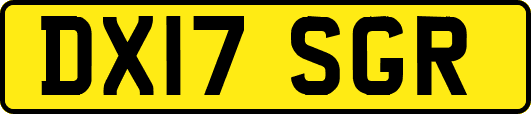 DX17SGR