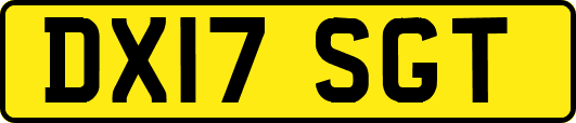 DX17SGT