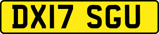 DX17SGU
