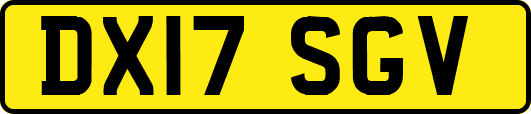DX17SGV