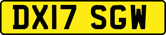 DX17SGW