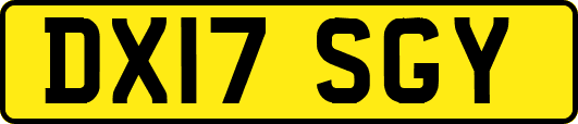 DX17SGY