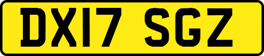 DX17SGZ