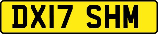 DX17SHM