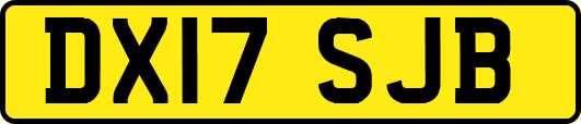 DX17SJB