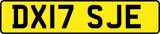 DX17SJE