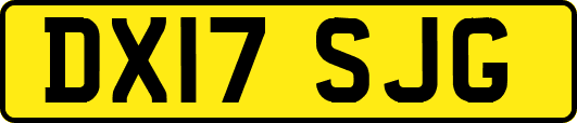 DX17SJG