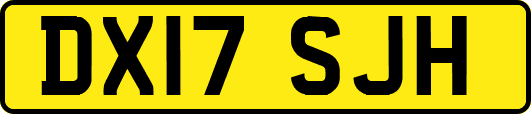 DX17SJH