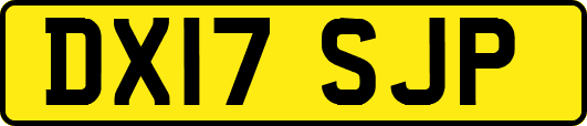DX17SJP
