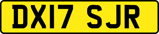 DX17SJR