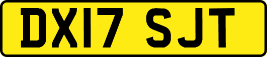 DX17SJT
