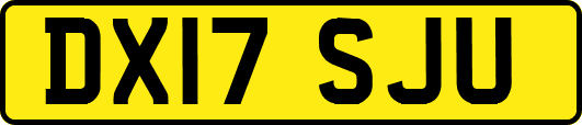 DX17SJU