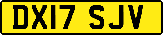 DX17SJV