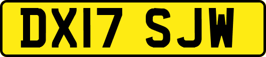 DX17SJW