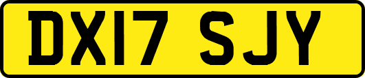 DX17SJY