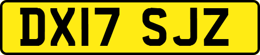 DX17SJZ