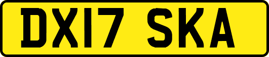 DX17SKA