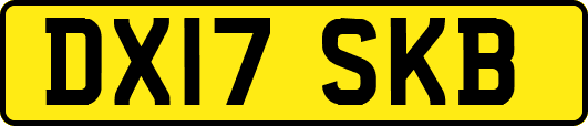 DX17SKB