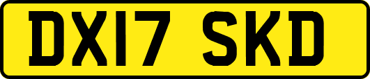 DX17SKD